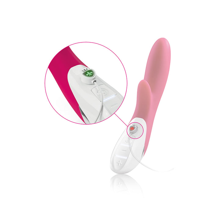 Mystim Danny Divido – Magnetischer Ladeanschluss und Ladungsdarstellung