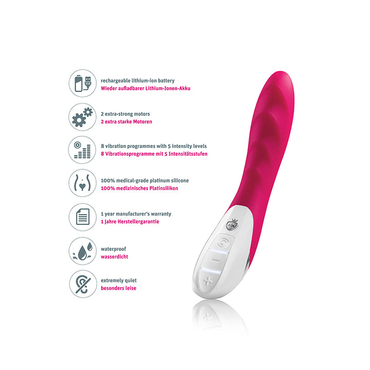 Mystim Sassy Simon – Darstellung der Icons und Erklärung