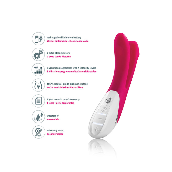 Mystim Bon Aparte – Darstellung der Icons und Erklärungen