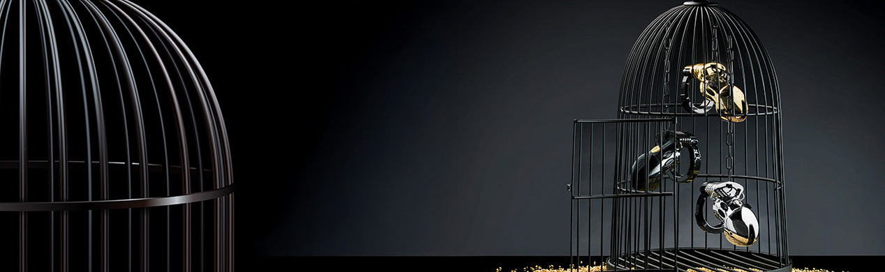 Promo Mystim Cock Cages Pubic Enemy No1 im Käfig