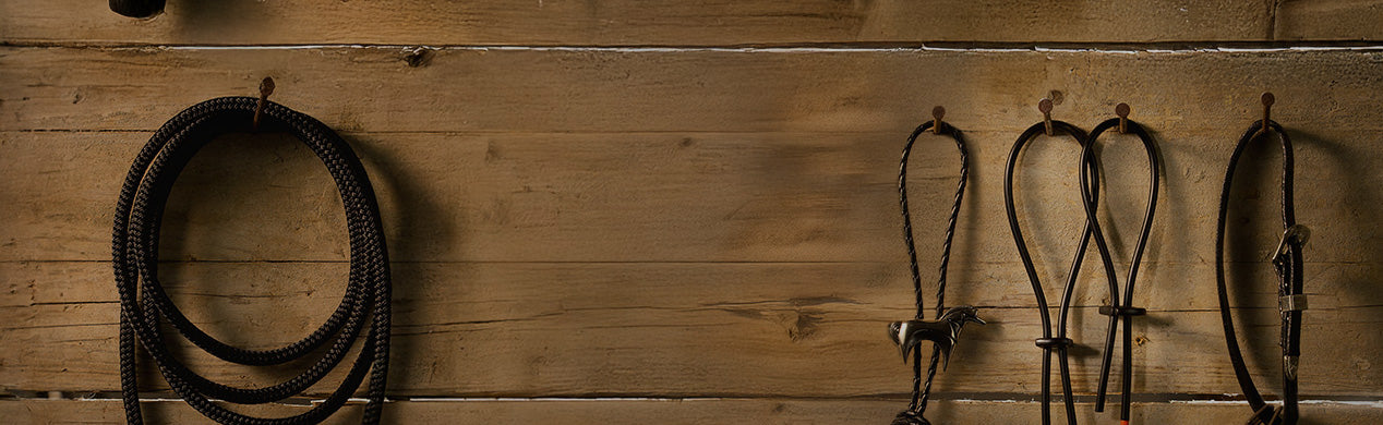 Kategorie Header Mystim Penisschlaufen mit Lasso an Wand